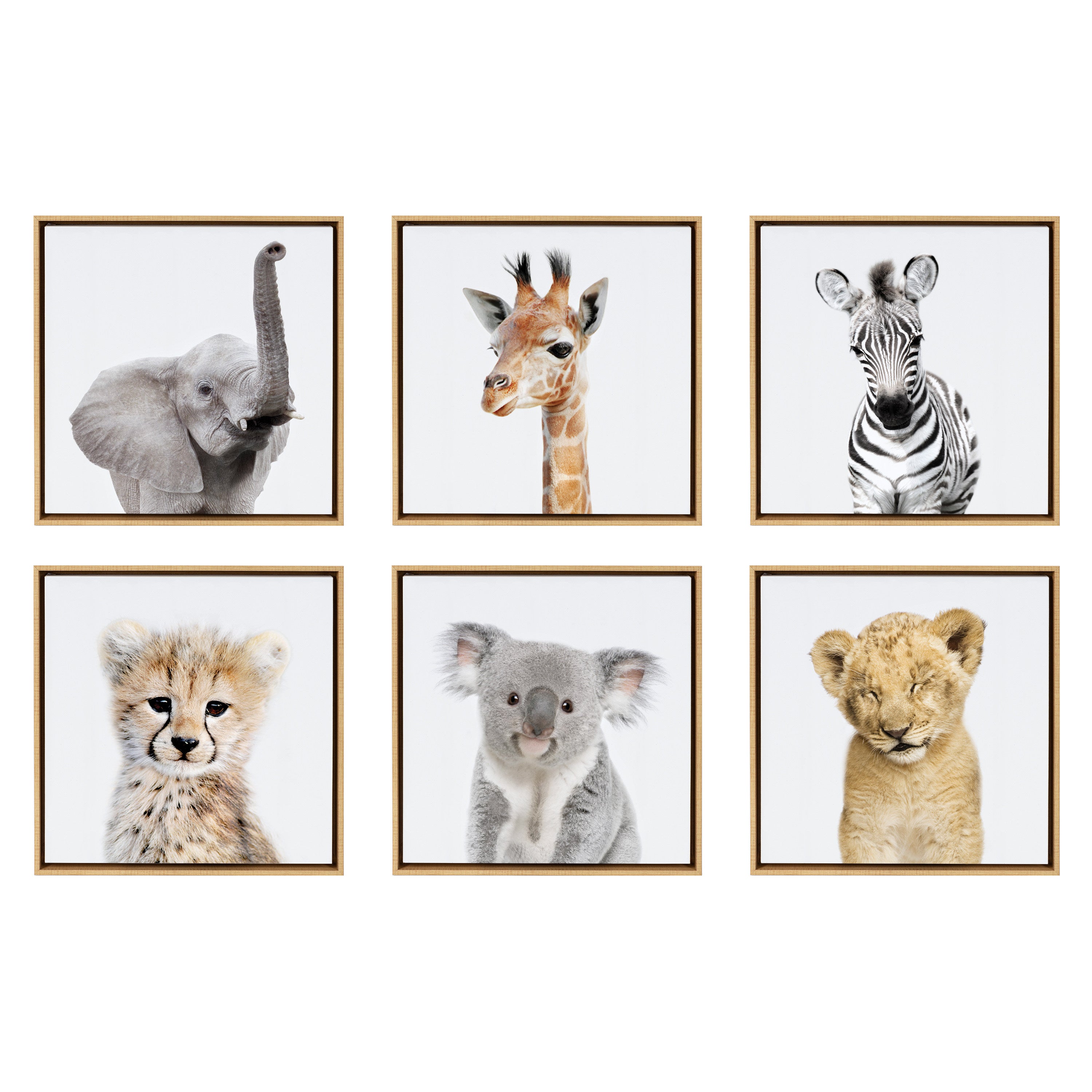 Framed Canvas Natural 6 Piece 13x13 1