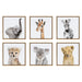 Framed Canvas Natural 6 Piece 13x13 1