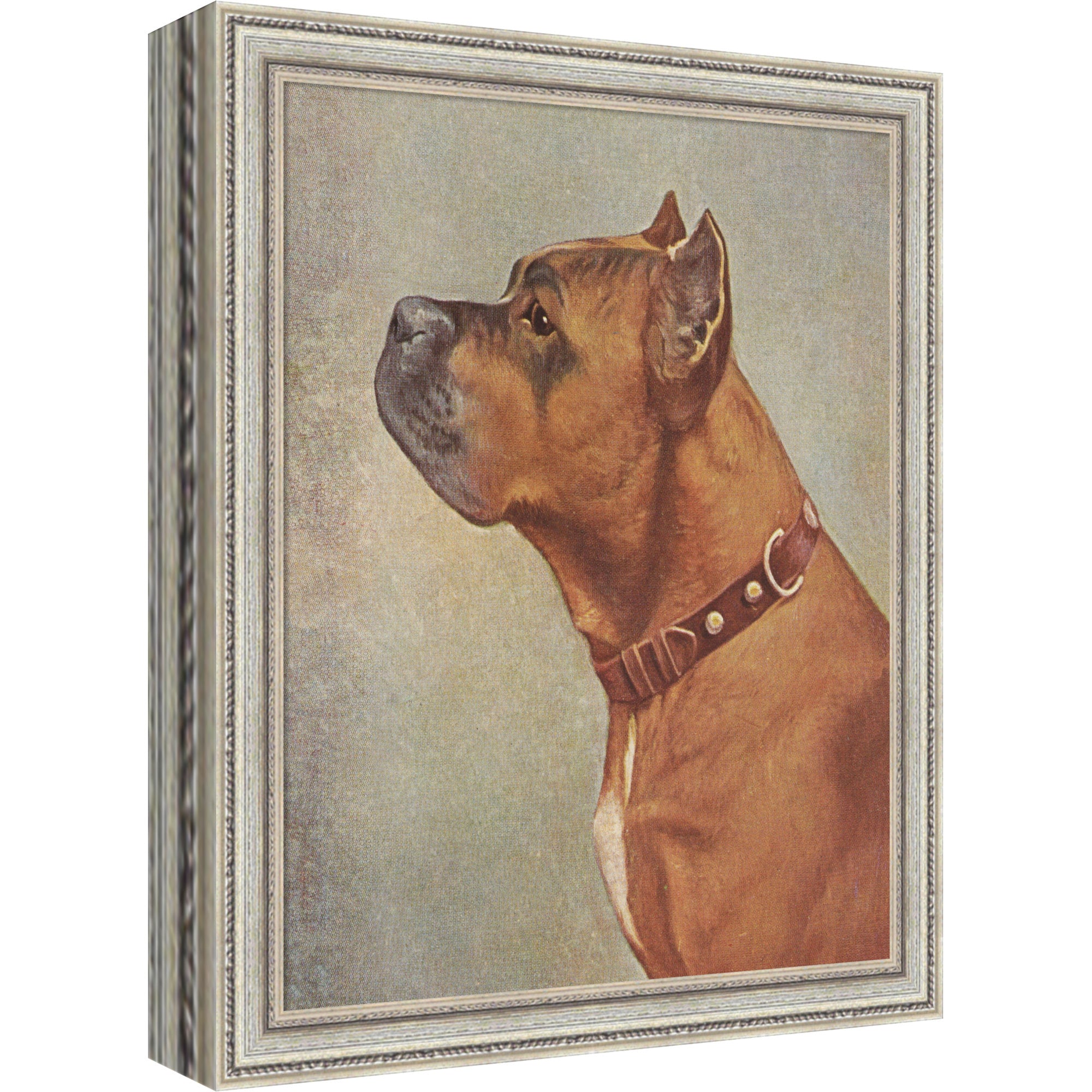 Mounted Canvas 9 x 11 Cordelia Thin Silver 1