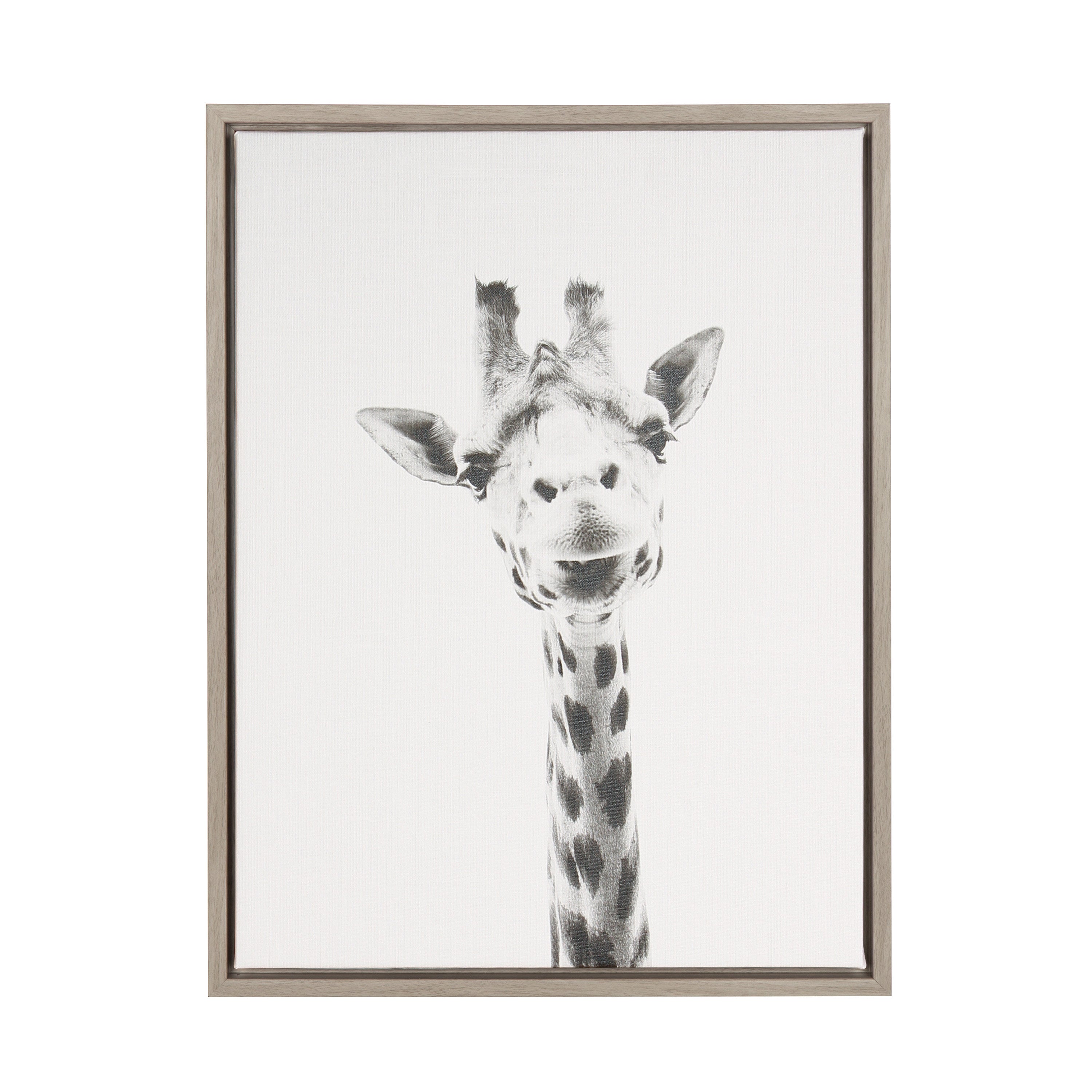 Framed Canvas Sylvie Graywash 18x24 1