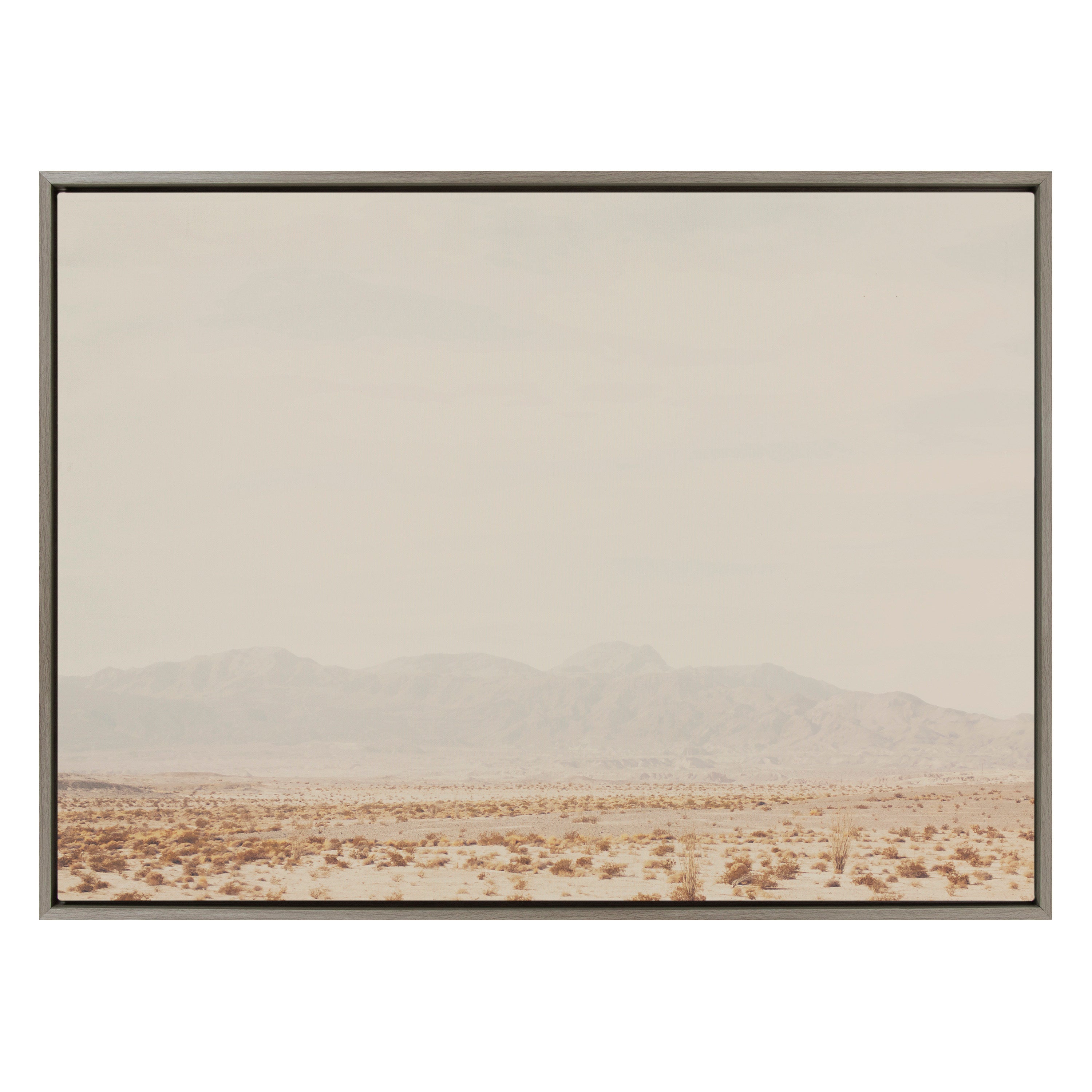 Framed Canvas Sylvie Graywash 31.5x41.5 2