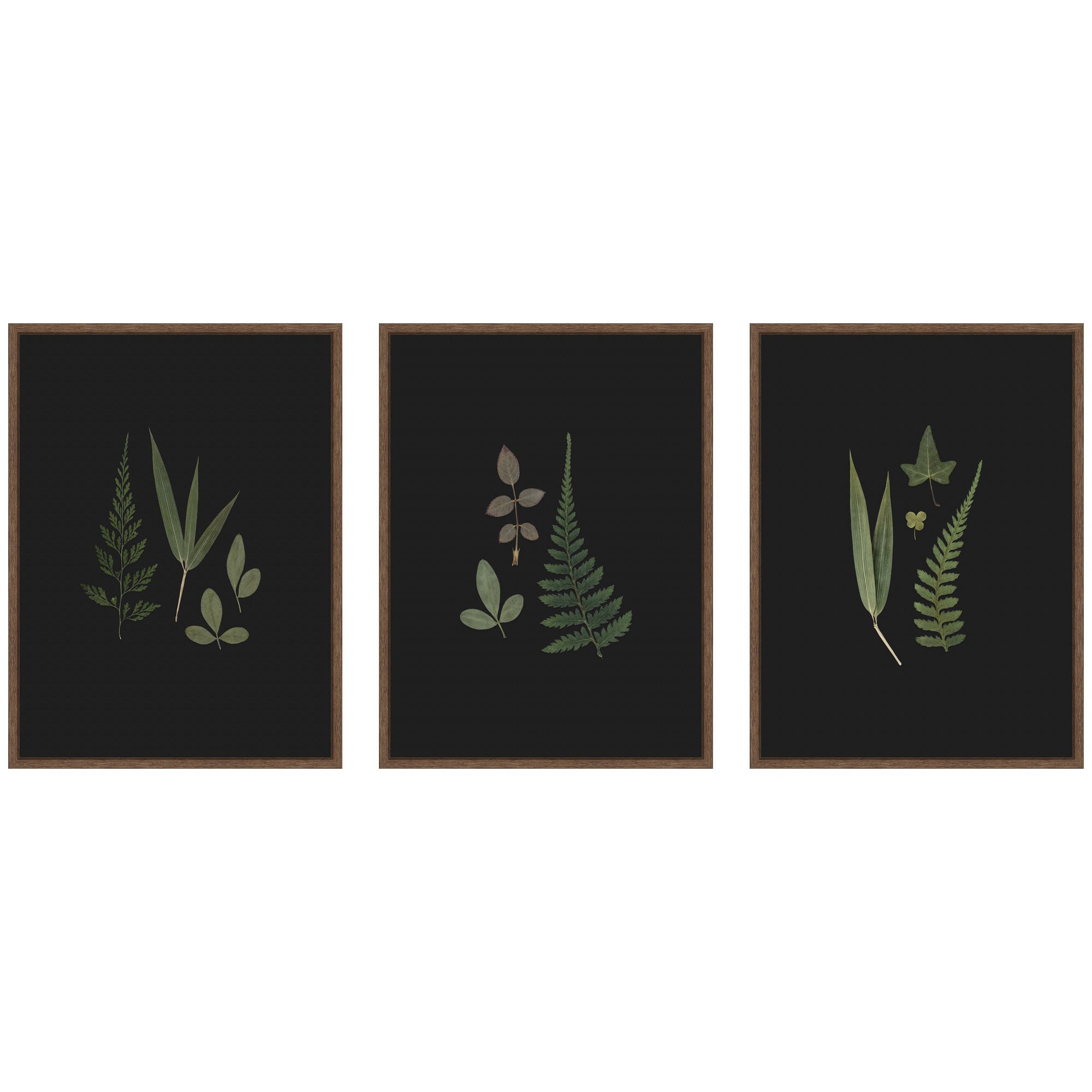 Art Set 3 Piece Set 18x24 Sylvie Walnut 1