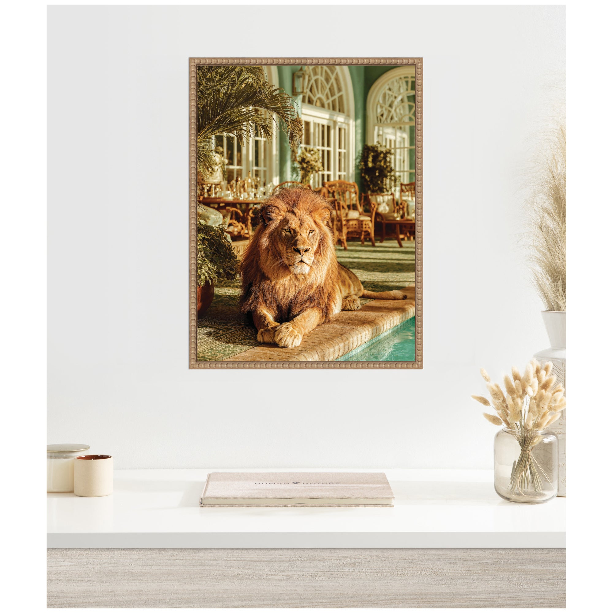 Majestic Lion by the Pool  by Michael Schauer Framed Canvas Wall Art Print