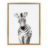Sylvie Baby Zebra Framed Canvas by Amy Peterson