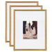 Wall Frame Gold 16x20 matted to 8x10 1