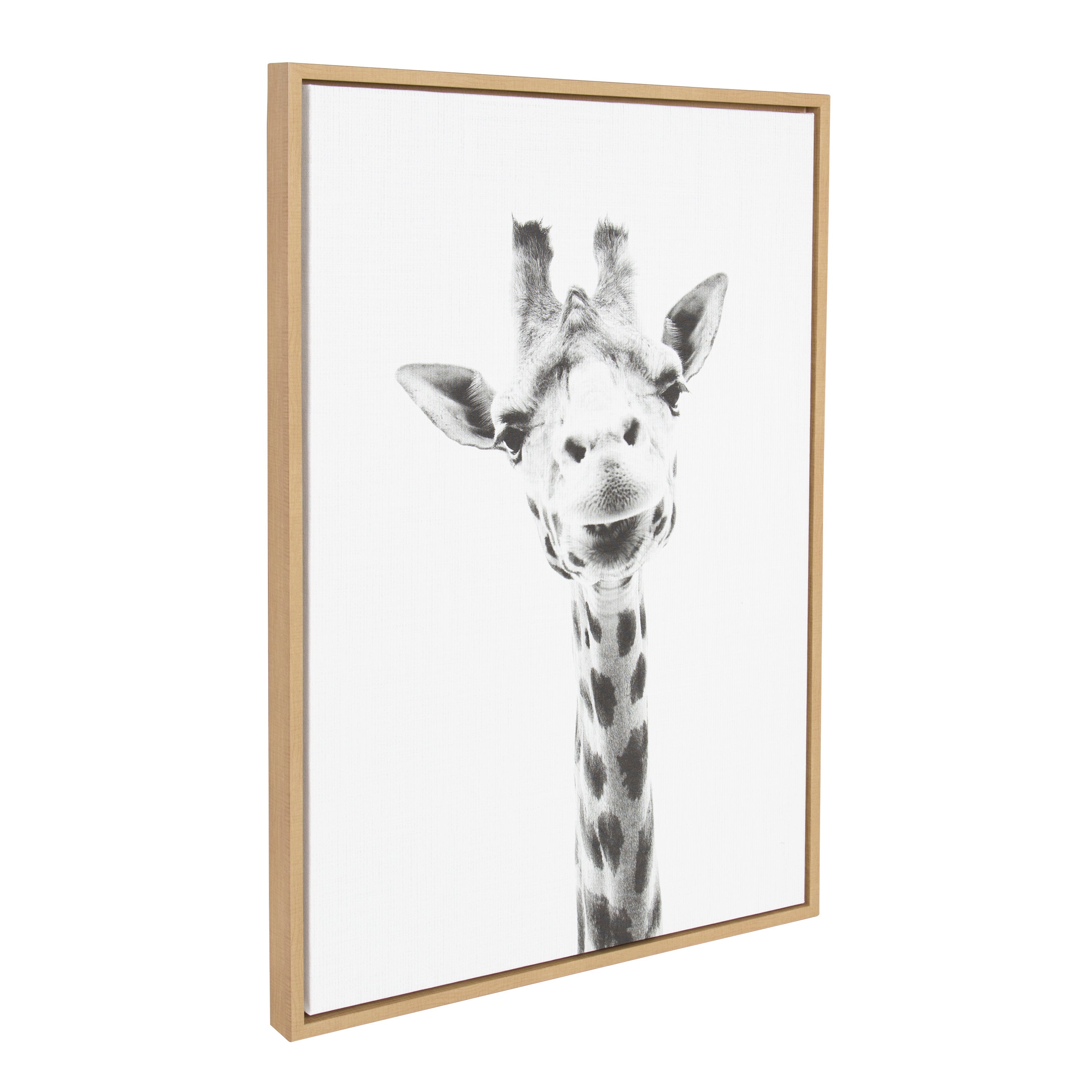 Framed Canvas Sylvie Natural 23x33 2