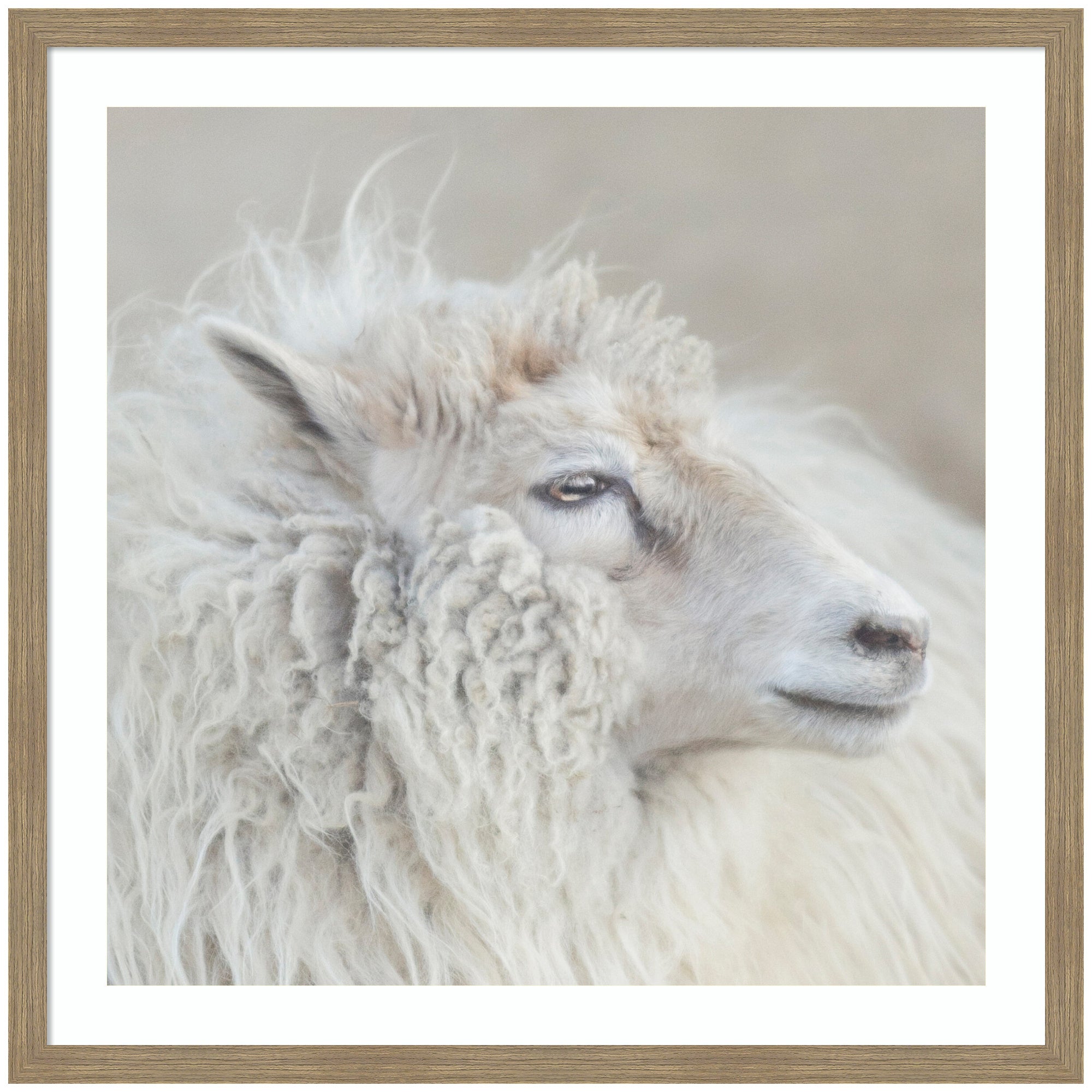 Harry Crop by Emiko and Mark Franzen F2 Images Framed Wall Art Print