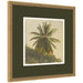 Framed Art 26x26 Castellan Gold 7