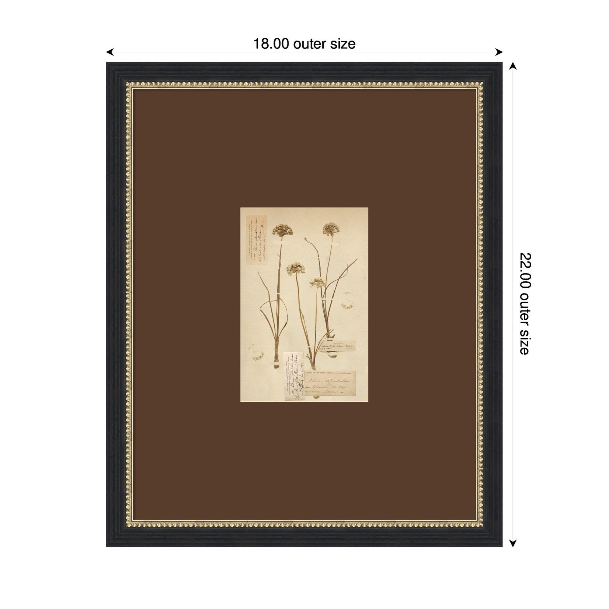 Framed Art 18x22 Belmont Black 2