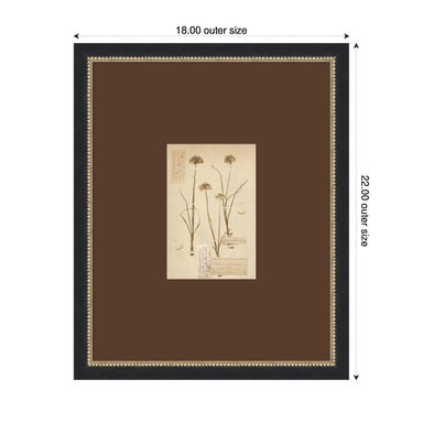 Framed Art 18x22 Belmont Black 2