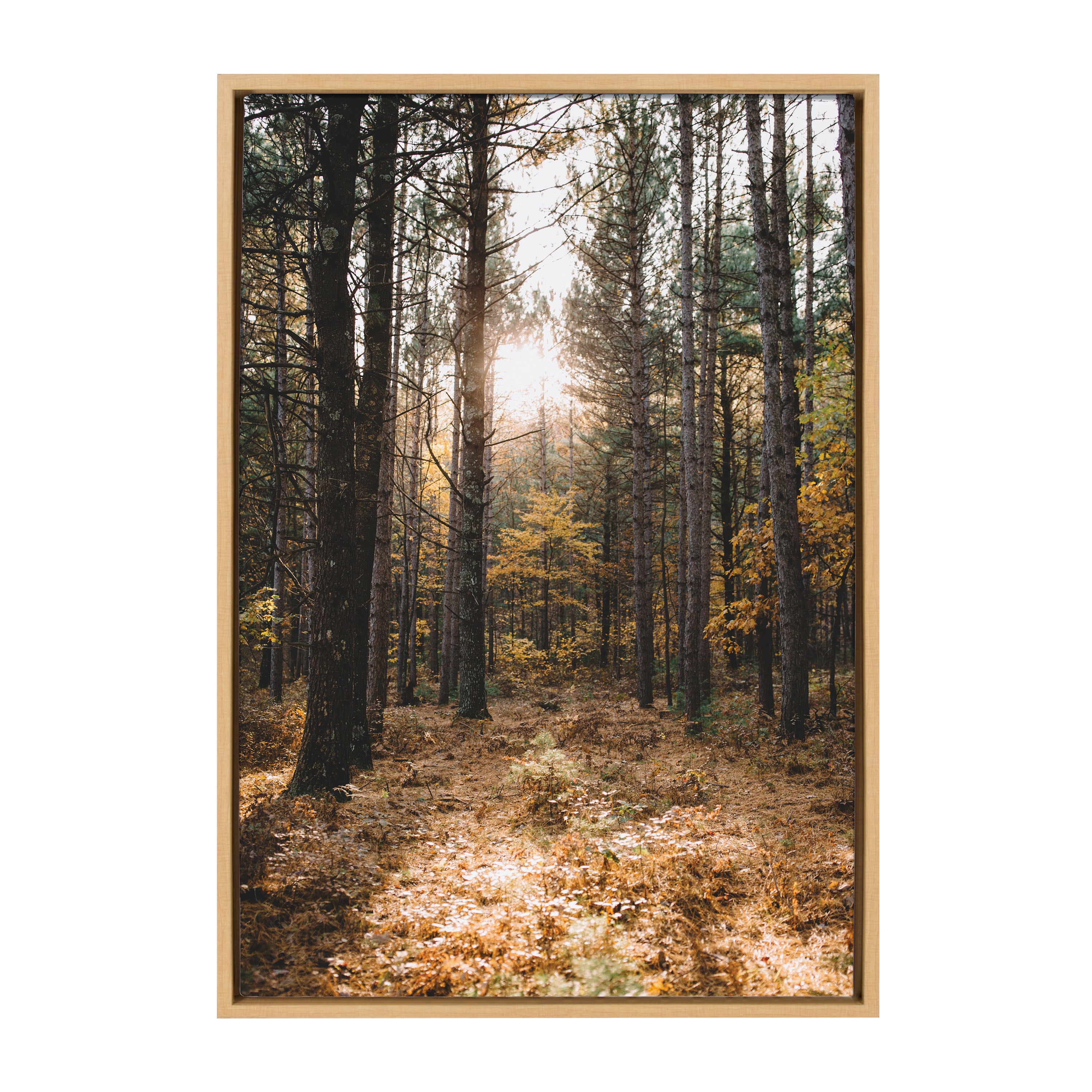 Sylvie A Walk in the Woods Framed Canvas by Patricia Hasz