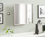 Functional Mirror 20x31 Silver 8