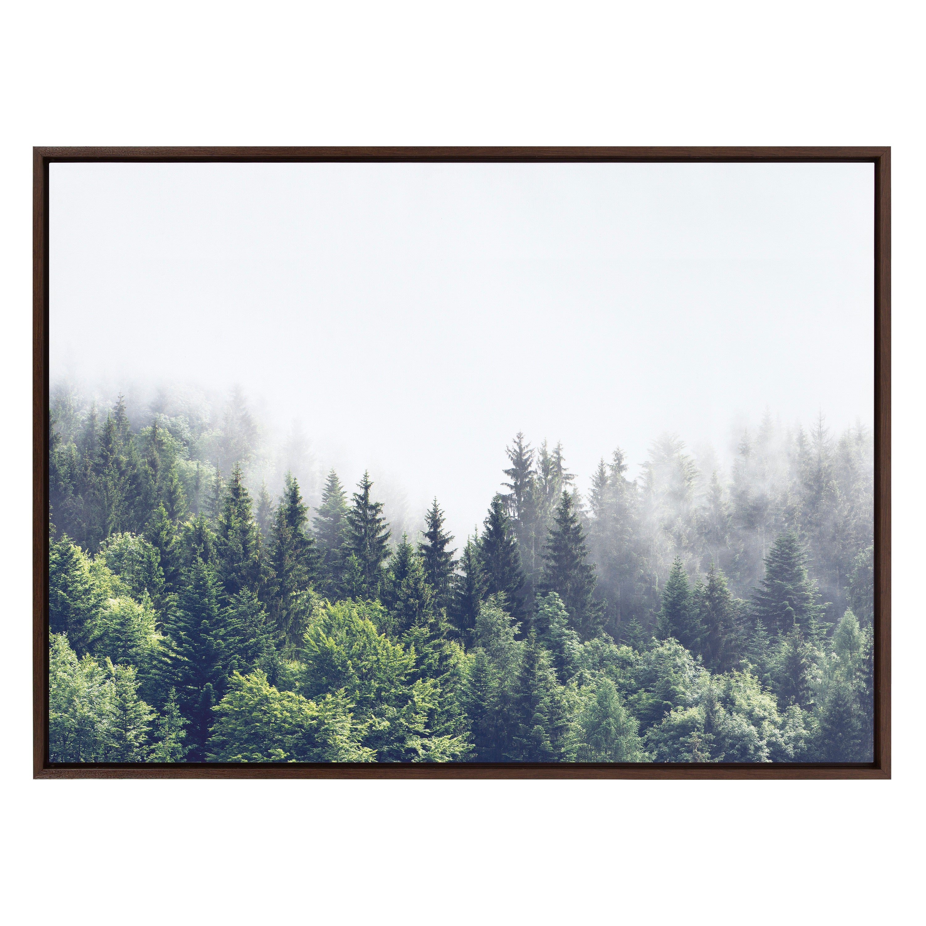 Framed Canvas 31.5x41.5 Sylvie Walnut 2