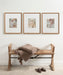 Wall Frame Brown 16x20 matted to 8x10 7