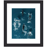 Framed Art School of Humpback Whales in the Blue Ocean by Michael Schauer