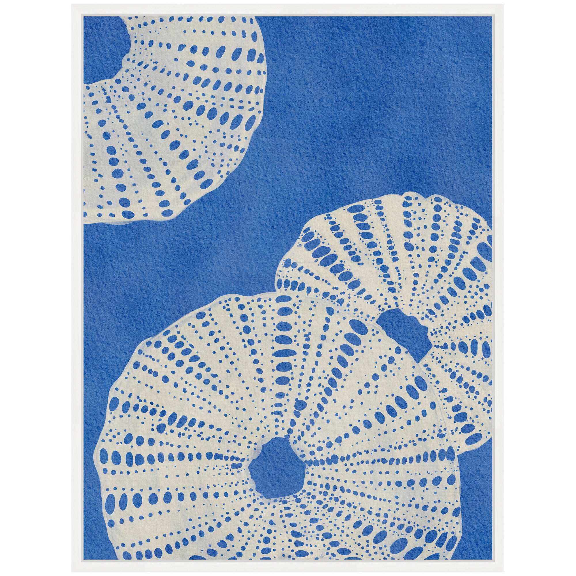 Sylvie Ocean Charms ll Framed Canvas by Nikita Jariwala