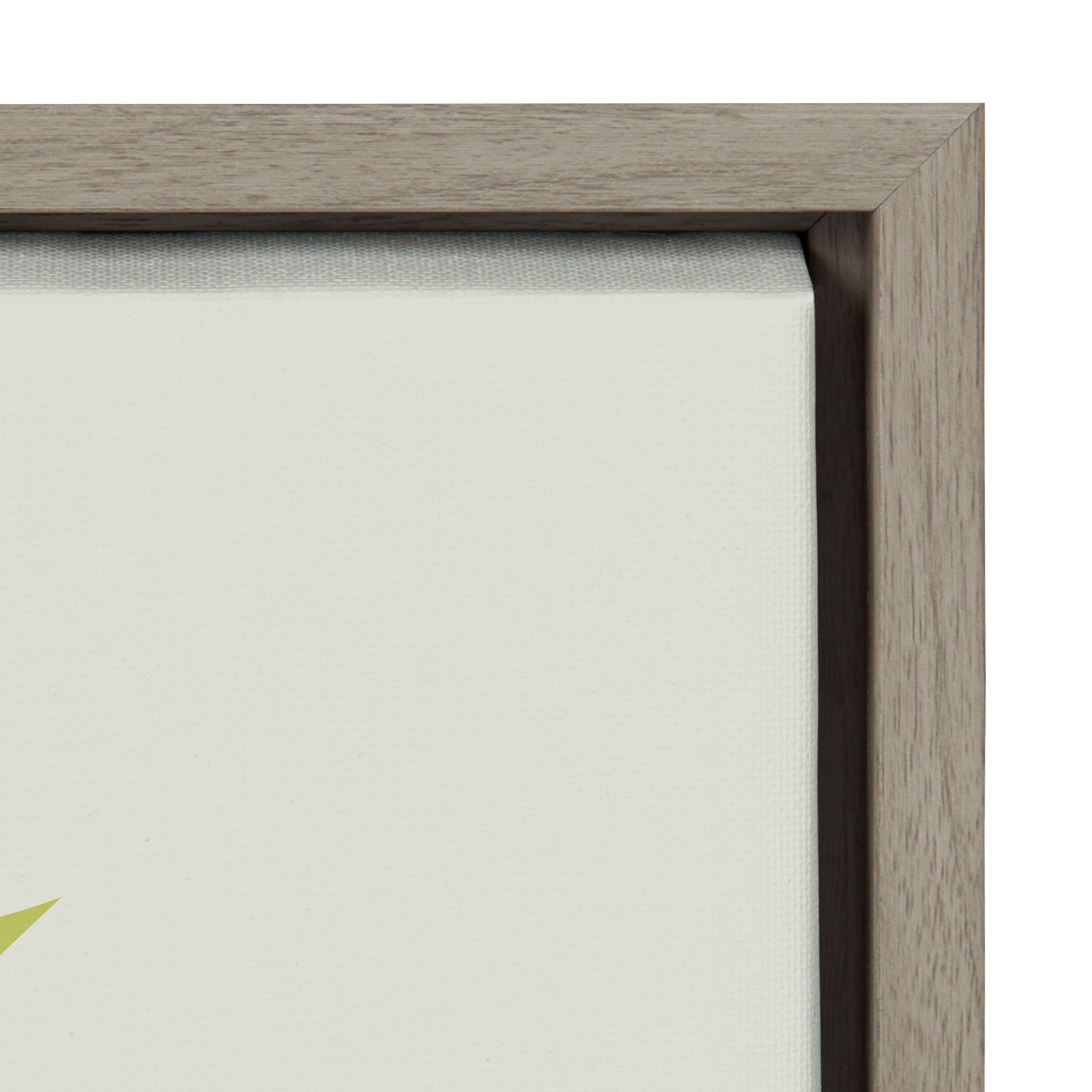Framed Canvas Sylvie Graywash 23x33 3