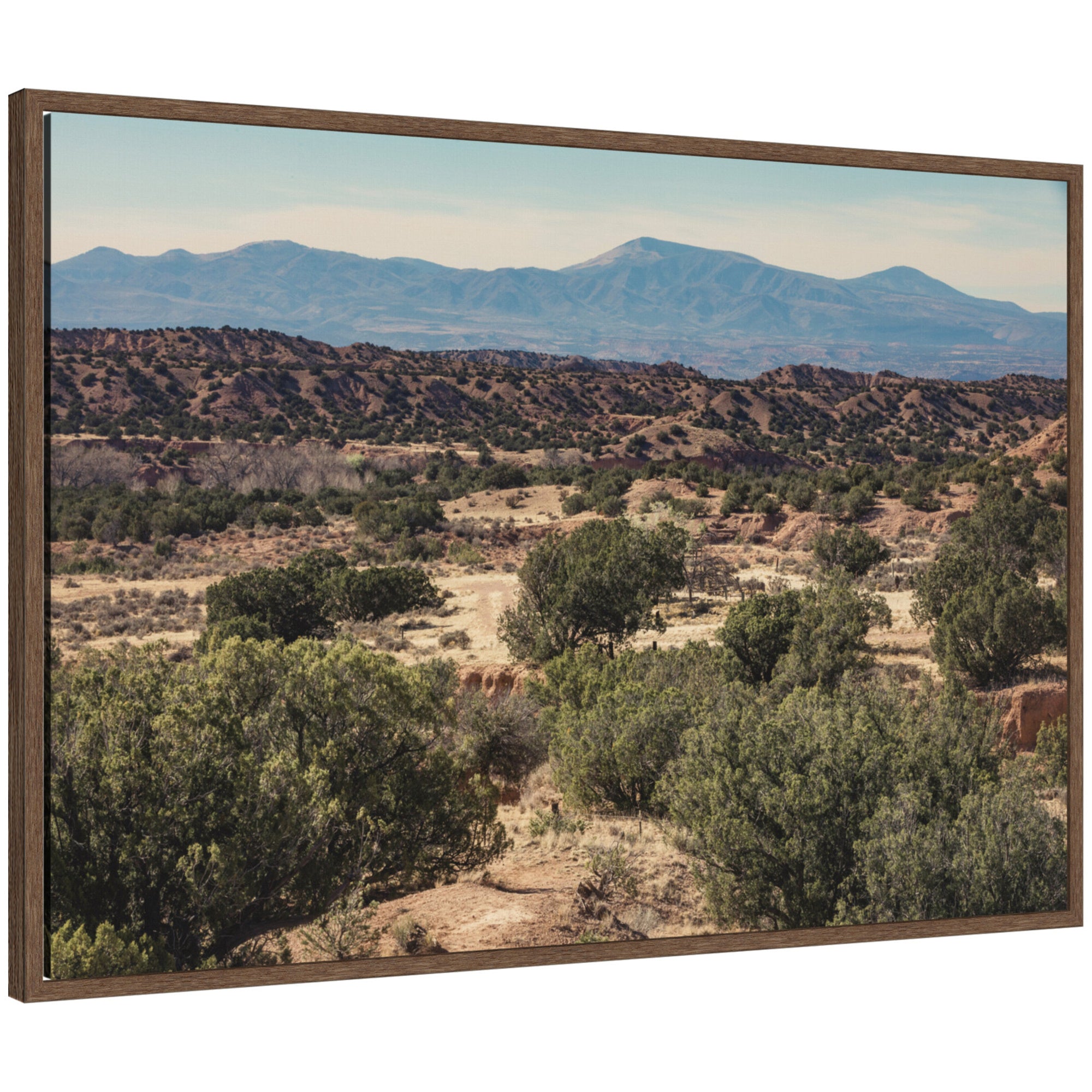 Framed Canvas 33x23 Sylvie Walnut 1