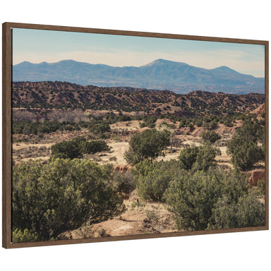 Framed Canvas 33x23 Sylvie Walnut 1