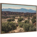 Framed Canvas 33x23 Sylvie Walnut 1
