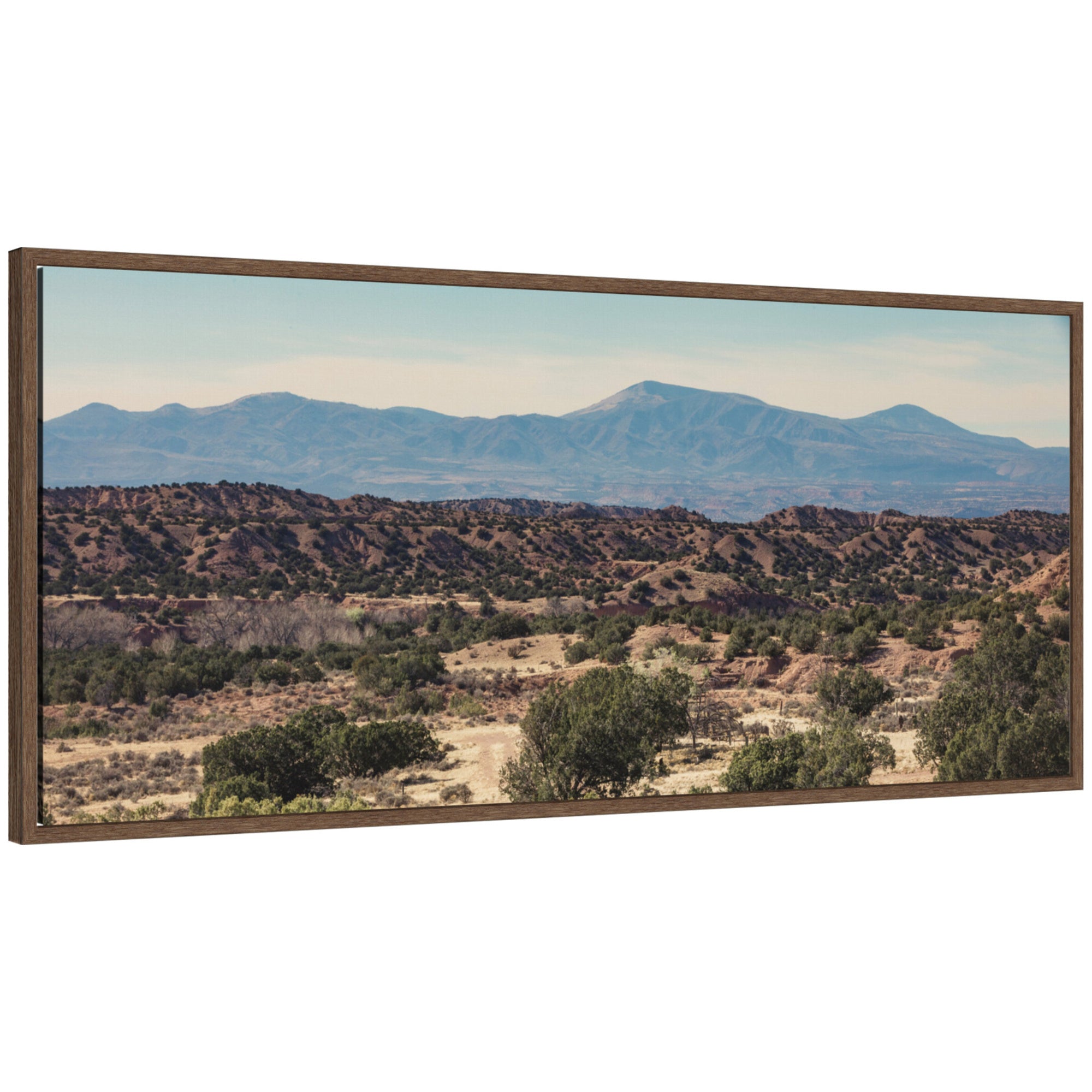 Framed Canvas Sylvie Walnut 40x18 1