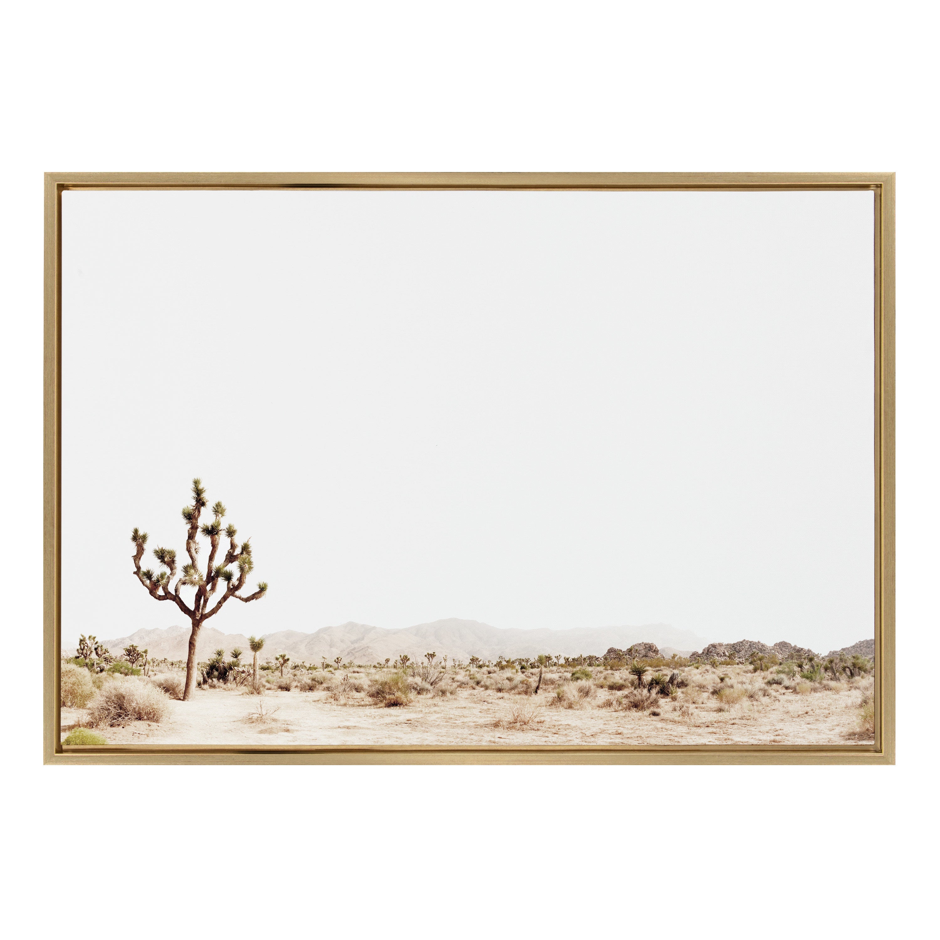 Framed Canvas Sylvie Bright Gold 23x33 2