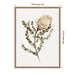 Framed Canvas 18x24 Sylvie Beaded Rustic Natural 2