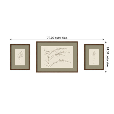 Framed Art Set 3 Piece Set 15x20/24x32 Carlisle Brown Narrow 2