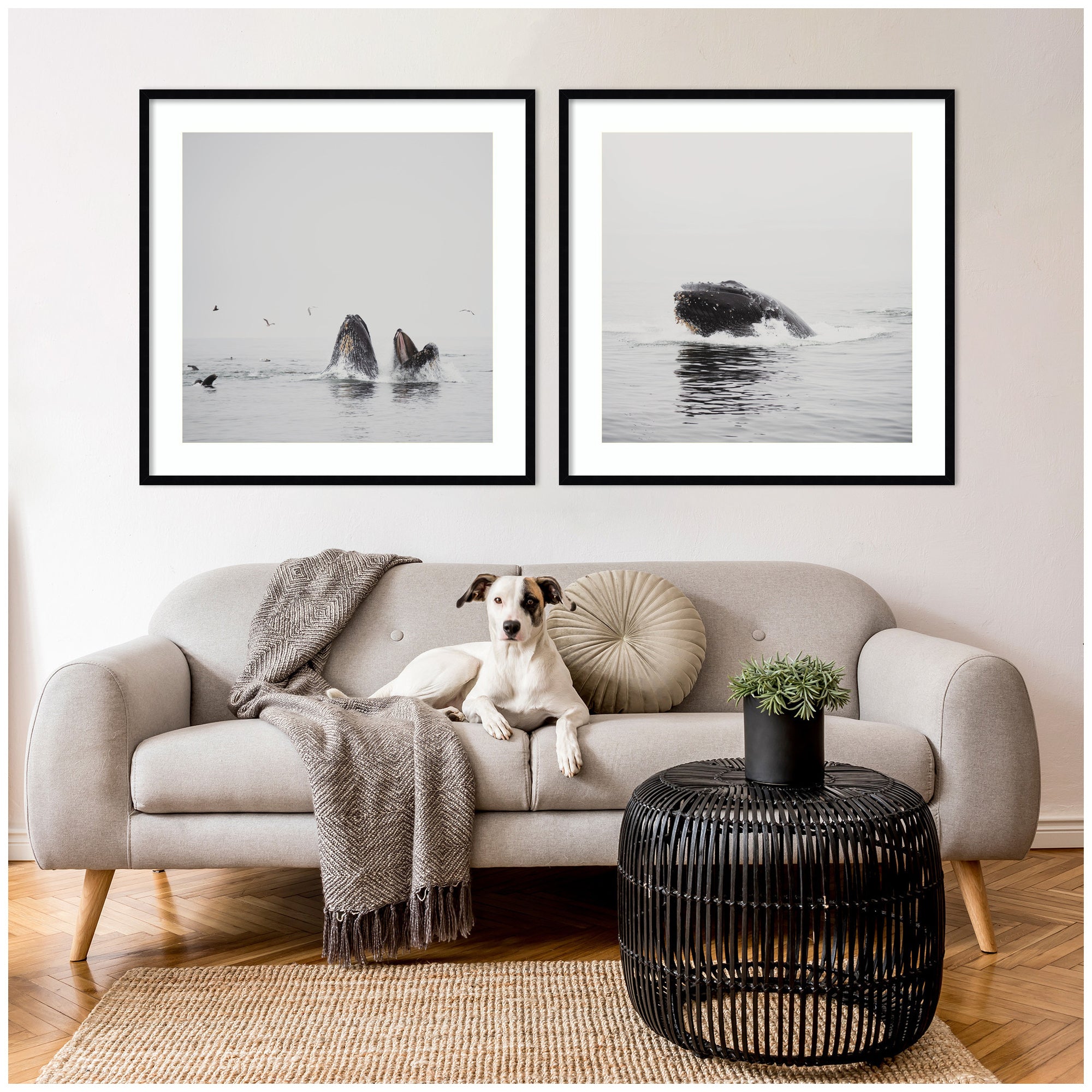 Framed Art Set Svelte Noir Black 2 Piece Set 33x33 6