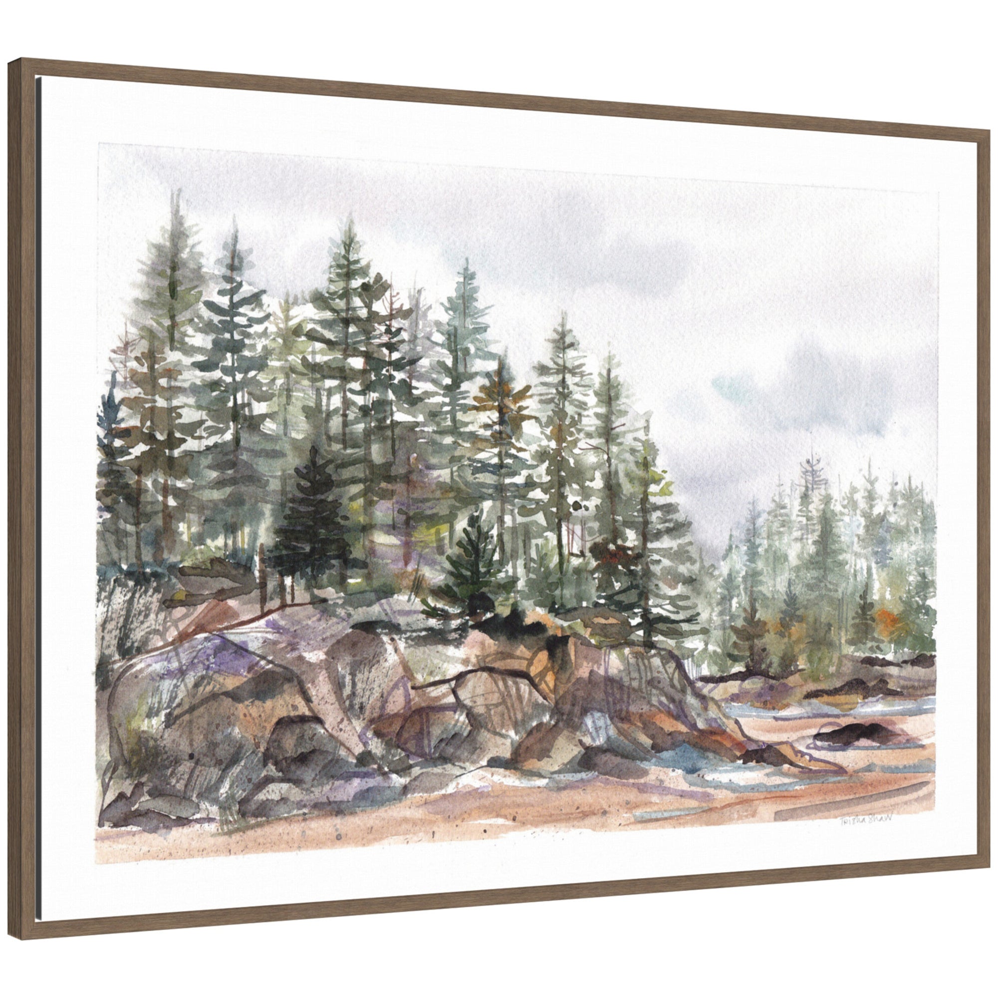 Sylvie Framed Canvas Pine Trees on Rocky Coast by Patricia Shaw