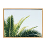 Sylvie Tropical Palm Under Blue Sky Framed Canvas by Amy Peterson Art Studio