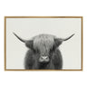 Sylvie Hey Dude Highland Cow Framed Linen Canvas by The Creative Bunch Studio