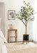 Faux Tree Black Rustic Brown 6.5' 8