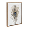 Sylvie Peacock Feather Framed Canvas by Simon Te of Tai Prints
