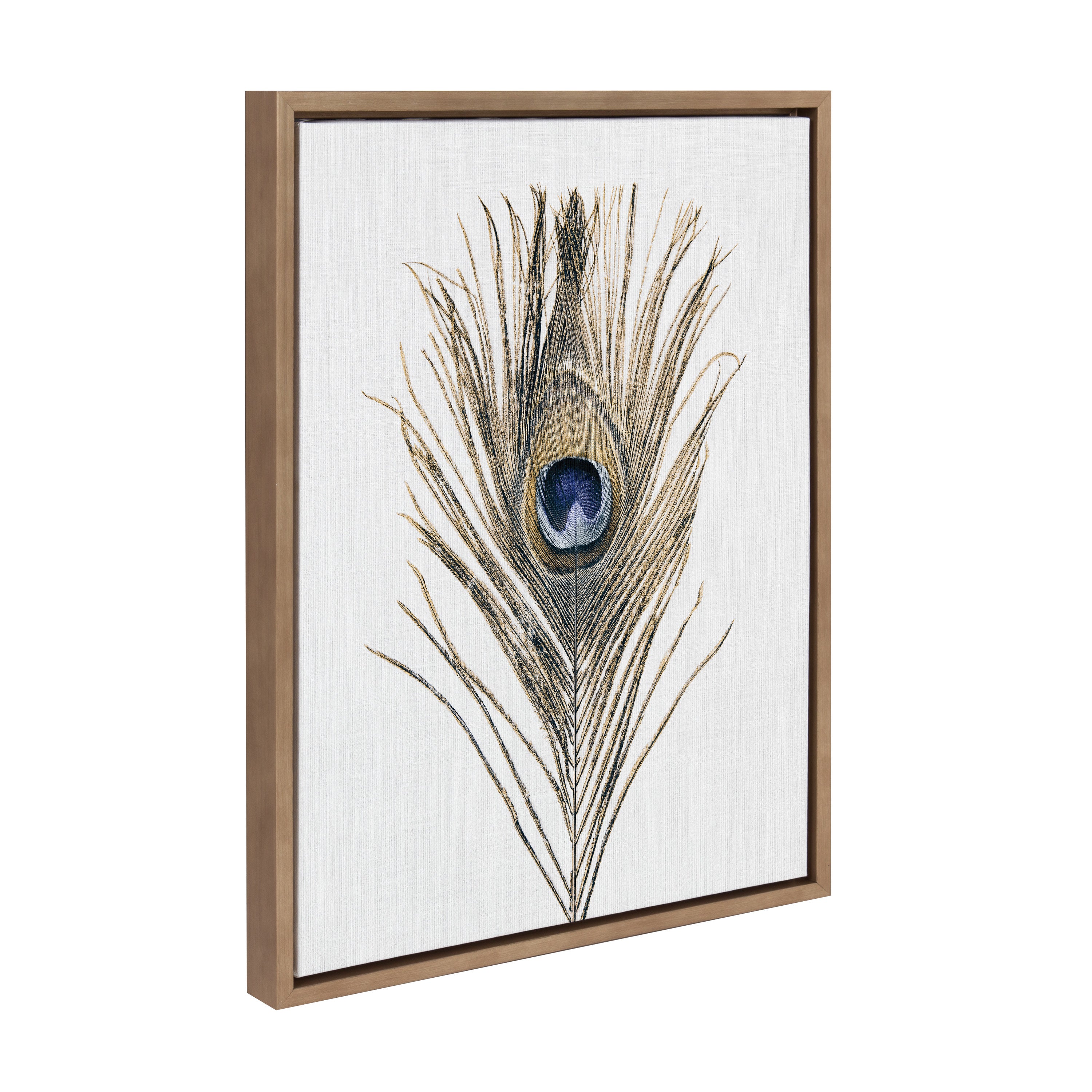 Sylvie Peacock Feather Framed Canvas by Simon Te of Tai Prints