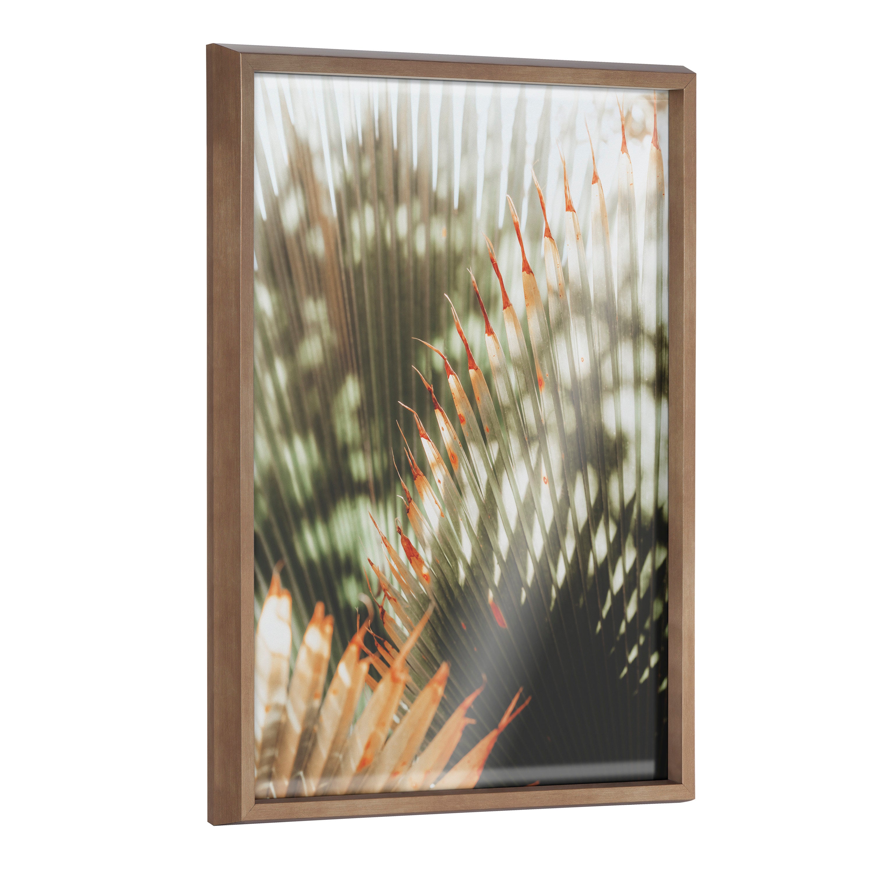 Blake Yellow Tipped Fern Framed Printed Glass by Alicia Abla