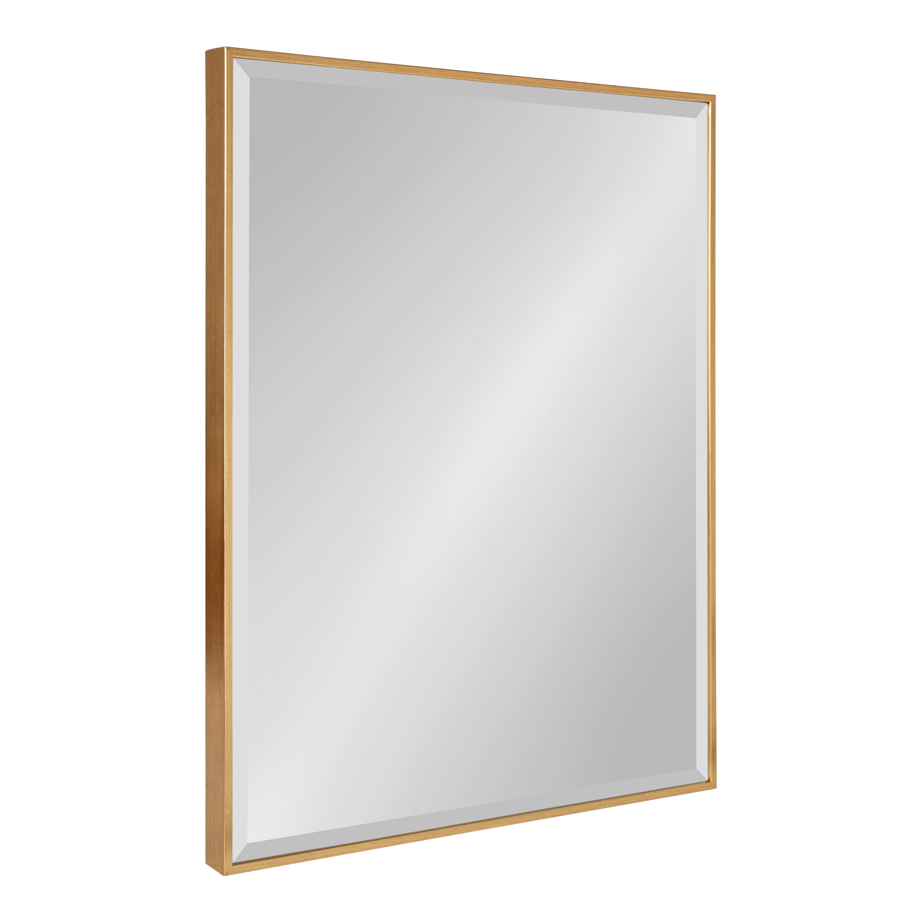 Rectangle Mirror Gold 22.75x28.75 1