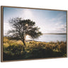 Sylvie Coastal Serene Sunset Tree Landscape Framed Canvas by Patricia Hasz of Patricia Rae Photography
