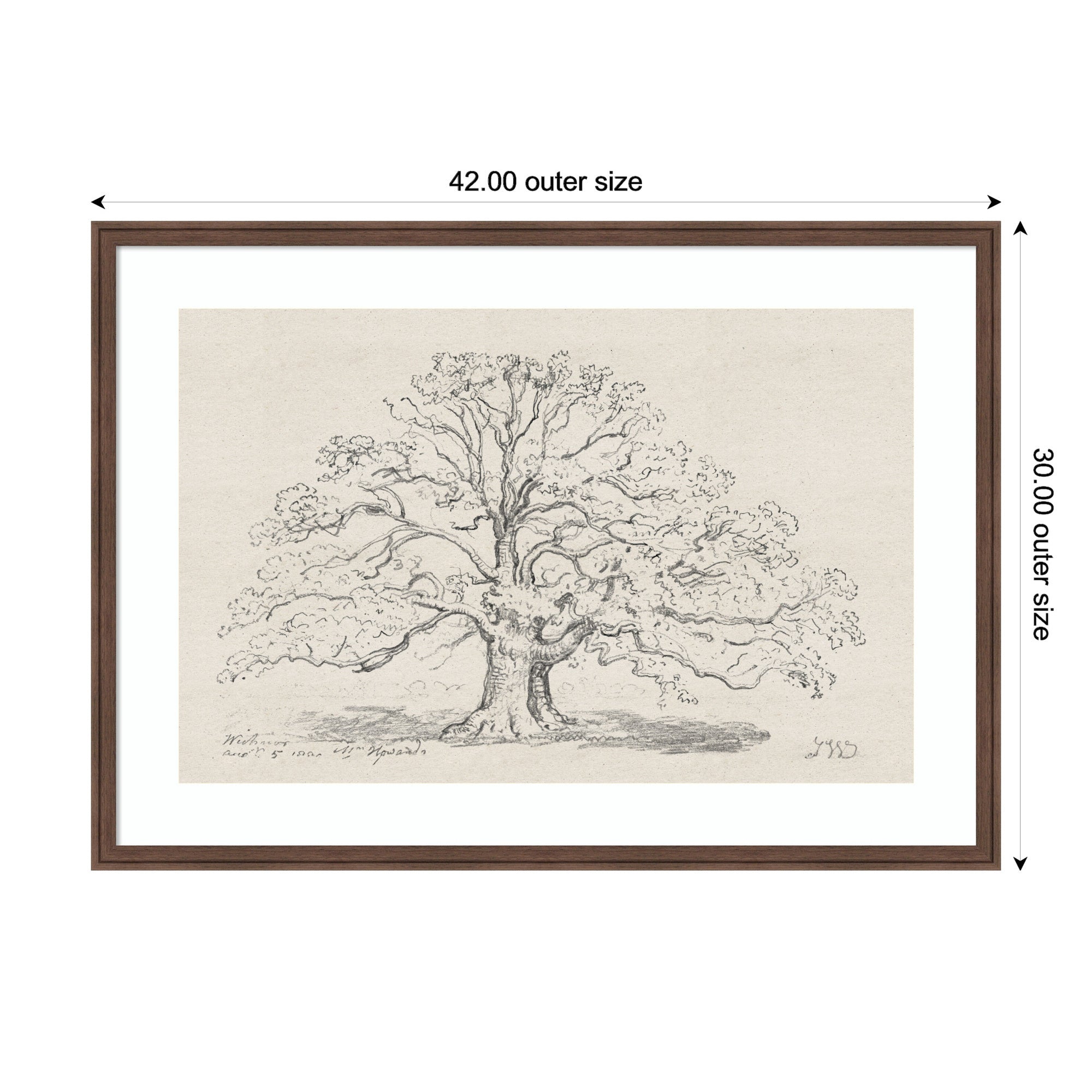 Framed Art 42 x 30 Florence Medium Brown 2