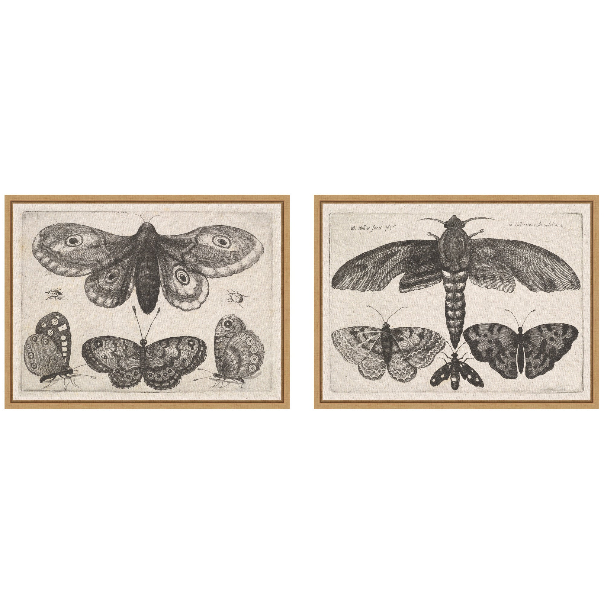 Art Set 2 Piece Set 18x24 Sylvie Natural 1
