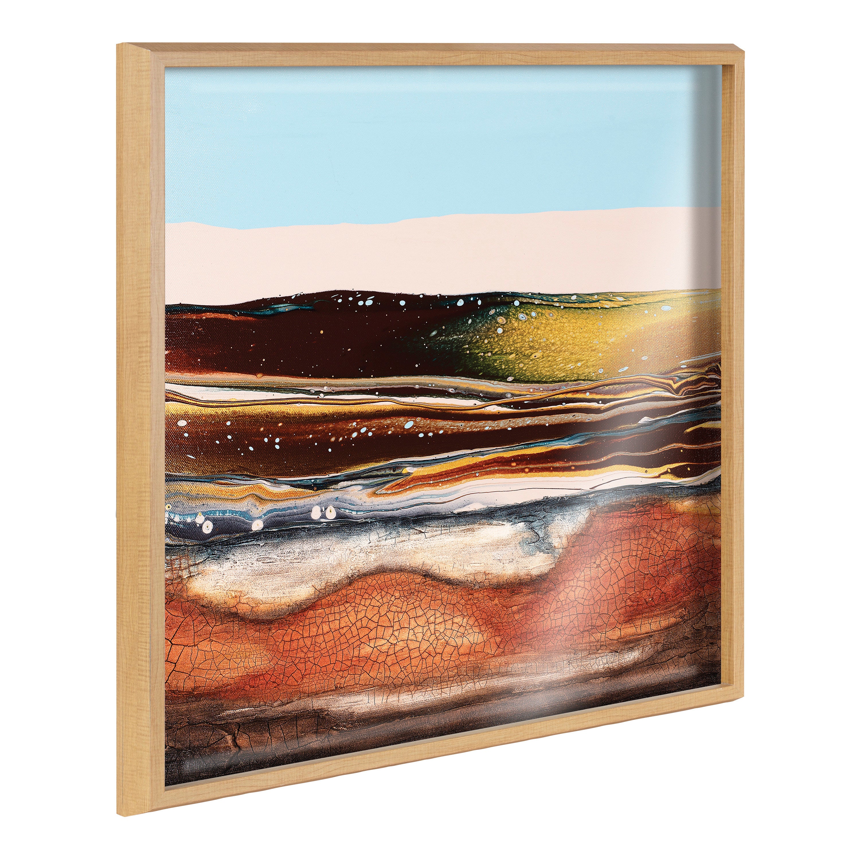 Blake Sonoran Desert Framed Printed Art by Xizhou Xie