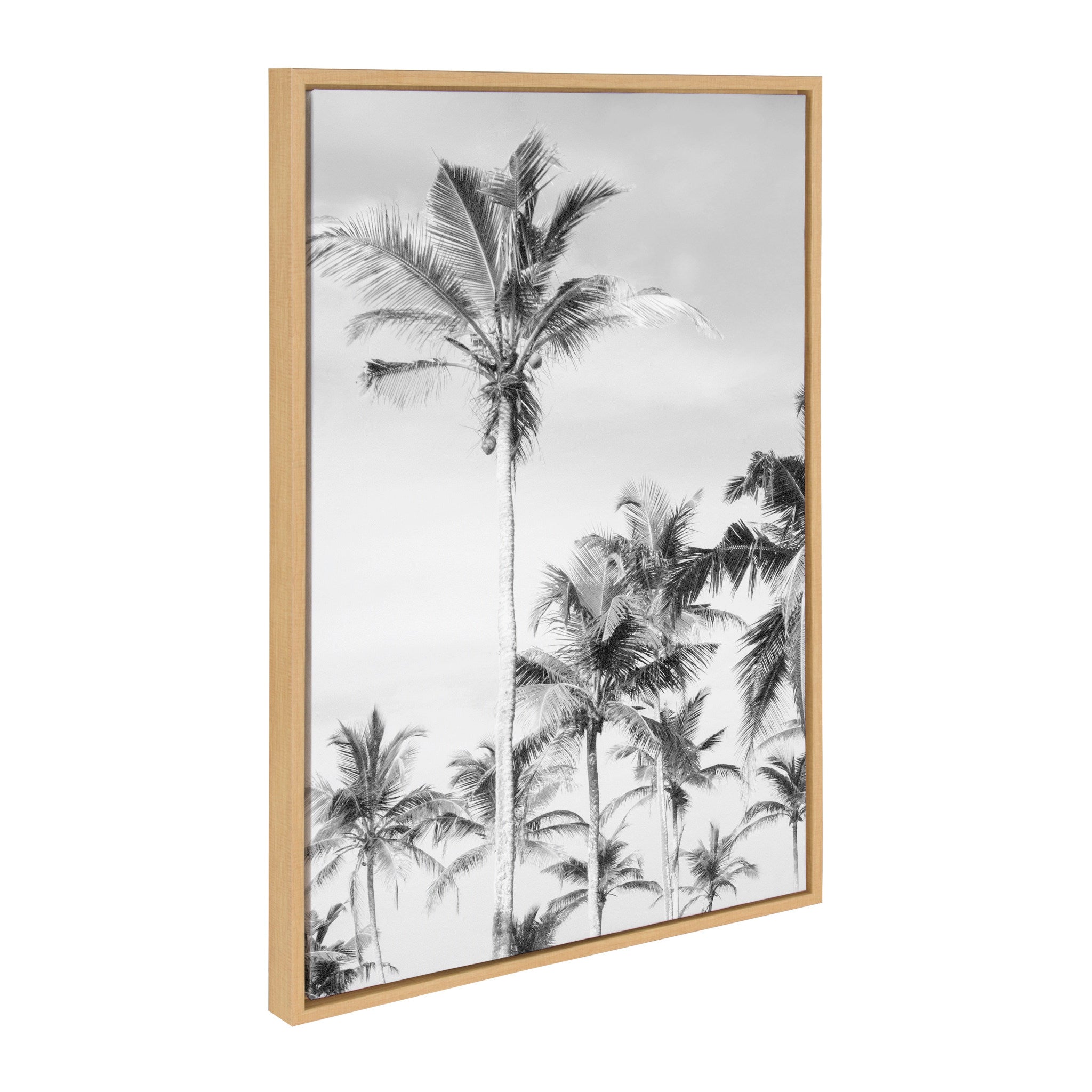 Sylvie Coastal Coconut Palm Tree Beach, 583 Banana Leaf and Palm I Black and White Framed Canvas Art Set by Various Artists