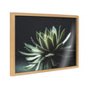 Blake Warrior Succulent Framed Printed Glass by Emiko and Mark Franzen of F2Images