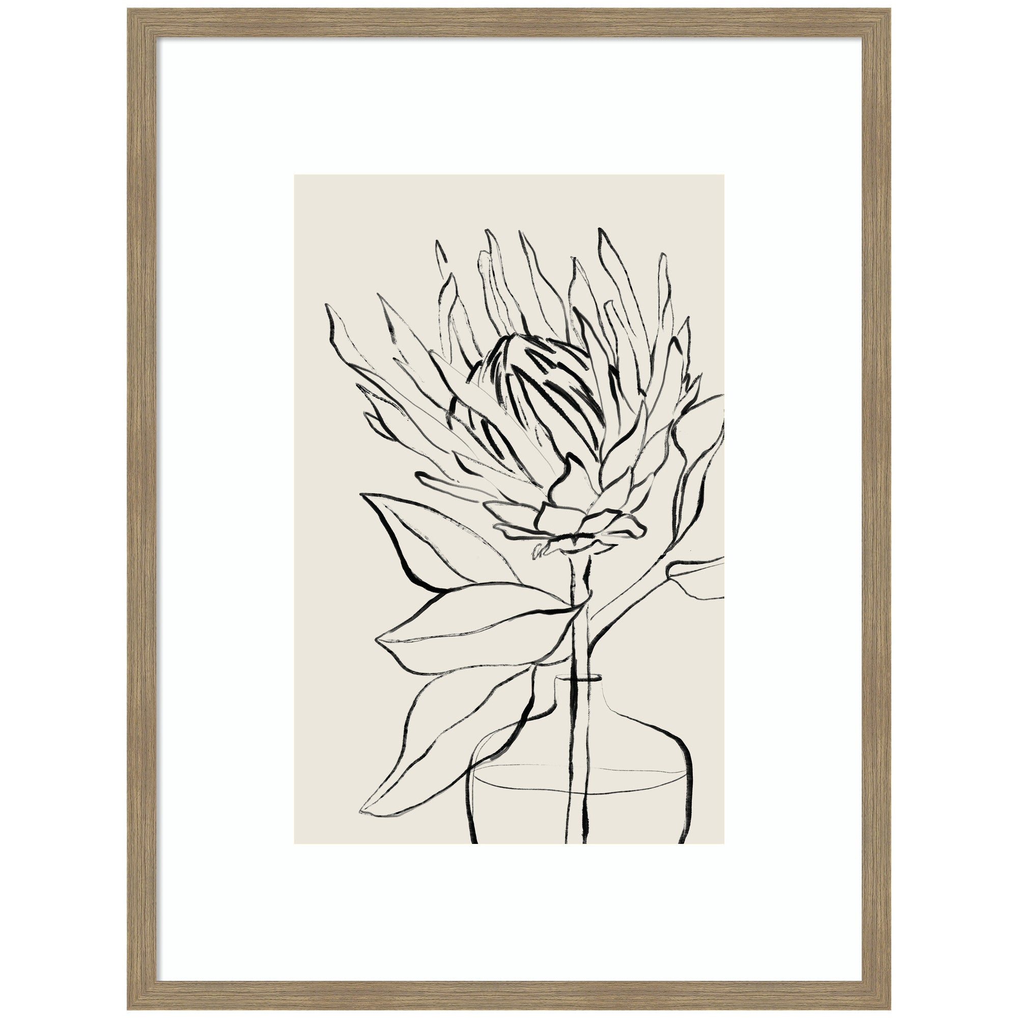 SB Protea Sketch No. 1 by Sara Berrenson Framed Wall Art Print