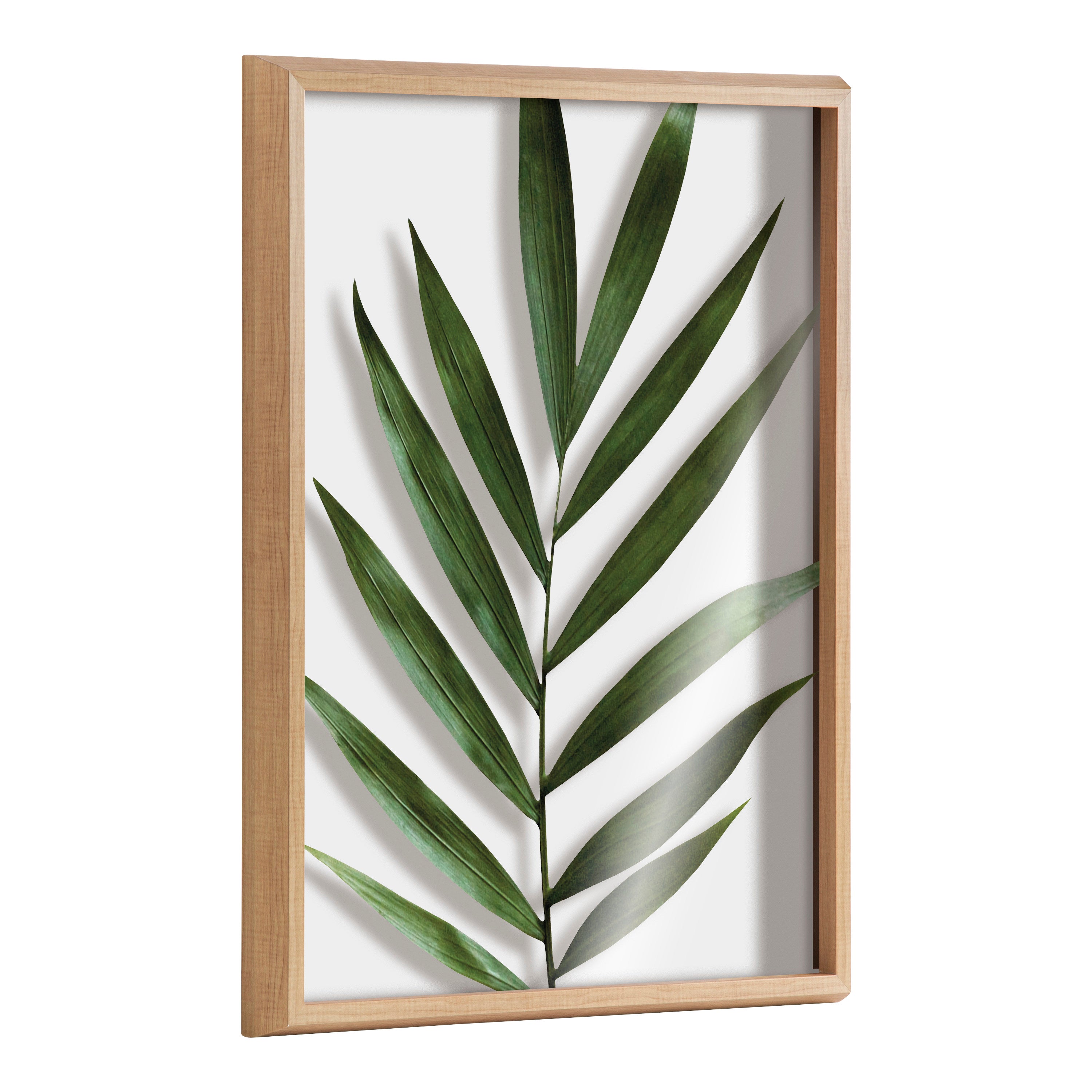 Blake Botanical 5F Framed Printed Glass by Amy Peterson
