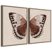 Art Set Sylvie Walnut 2 Piece Set 18x24 1