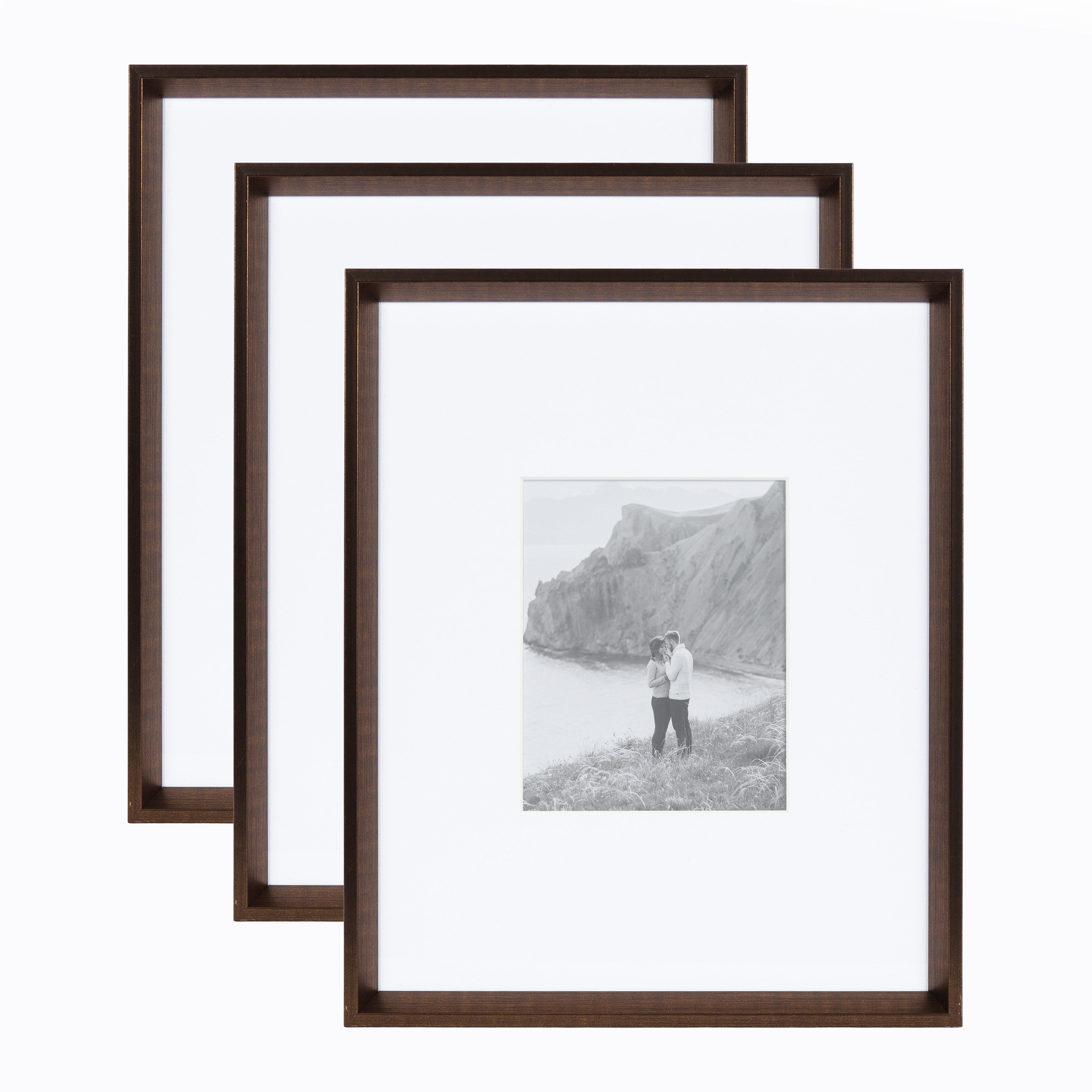 Wall Frame Bronze 16x20 matted to 8x10 1