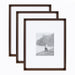 Wall Frame Bronze 16x20 matted to 8x10 1