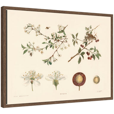 Framed Canvas 24x18 Sylvie Walnut 1