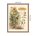 Framed Canvas 18x24 Sylvie Walnut 2